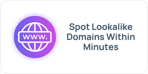 Spot Lookalike Domains Within Minutes